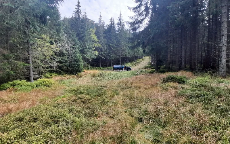Pomiary terenowe na Hali Goryczkowej przy tworzeniu mapy do celów projektowych.