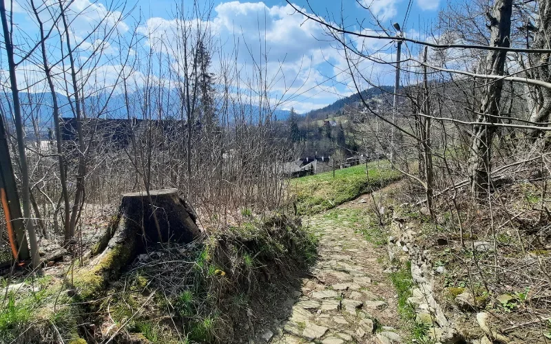 Mapa do Celów Projektowych Zakopane (2)