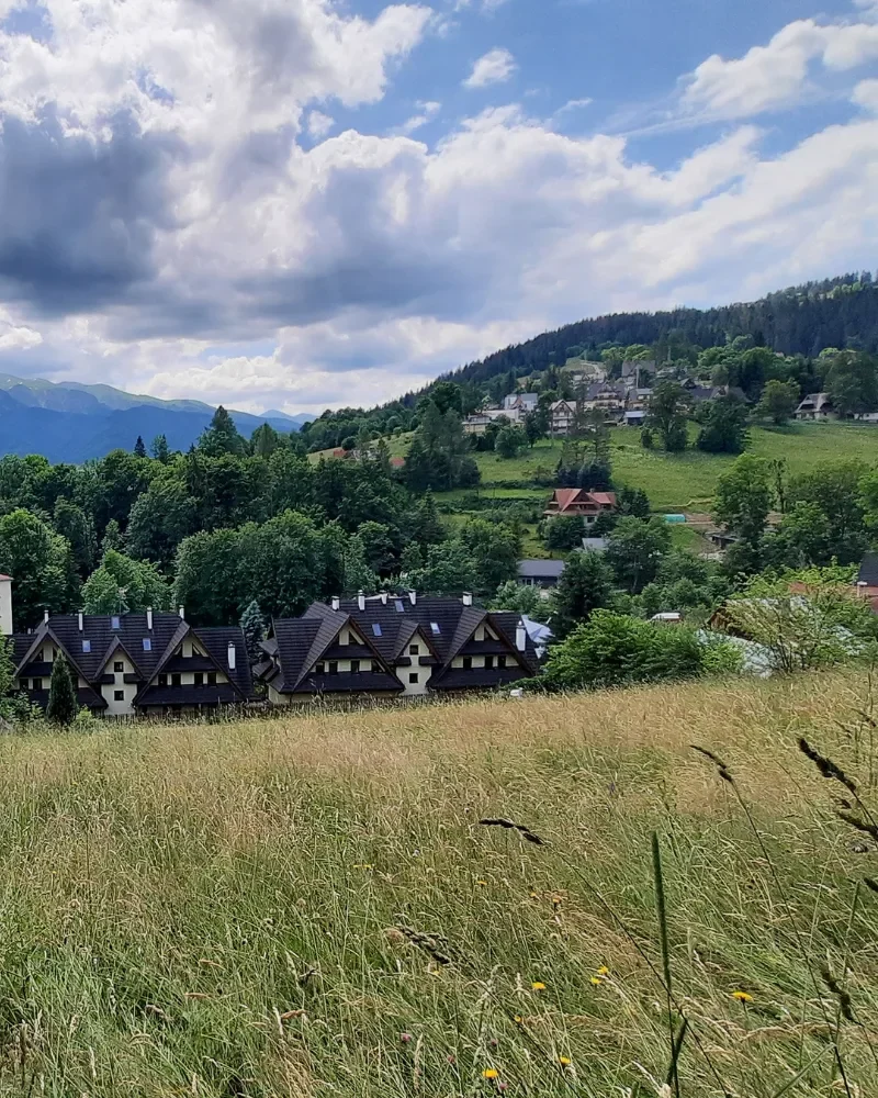 Panorama Zakopanego z widokiem na Giewont - obszar opracowania mapy do celów projektowych.