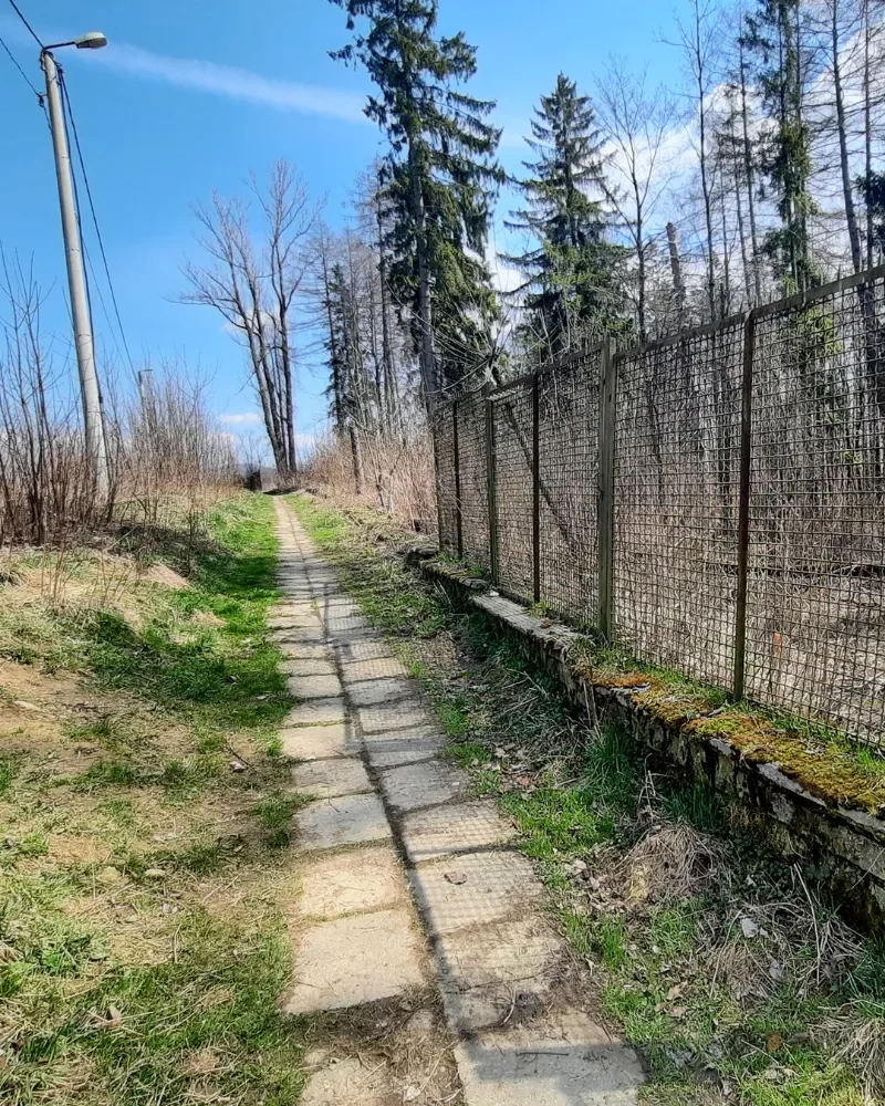 Projekt drogi dojazdowej w ramach ustanowienia służebności przejazdu.
